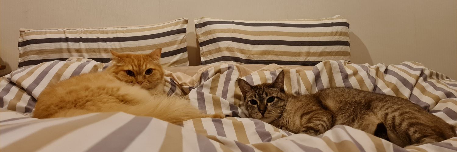 codewithcats's profile banner image