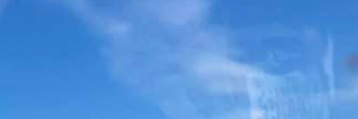MAGA ELON 𝕩 banner