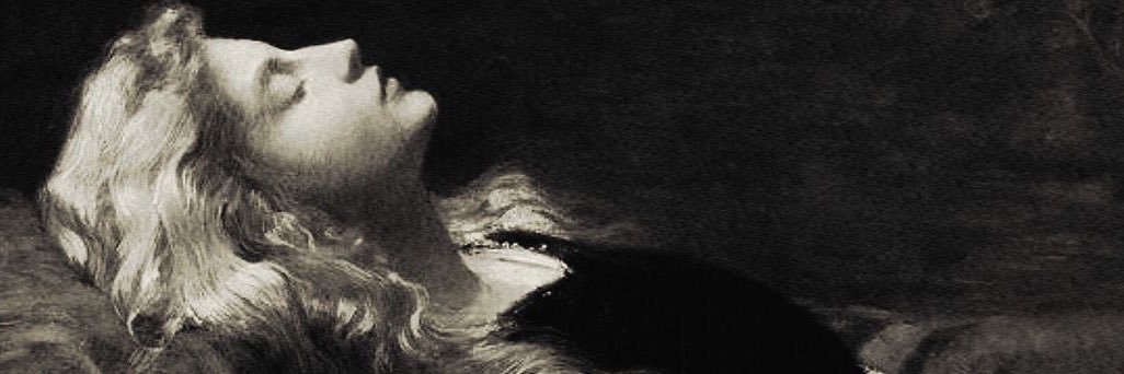 𝐛𝐞𝐥𝐚. banner