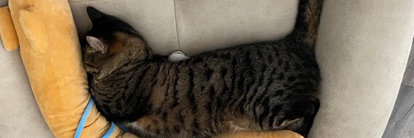 petitchatmac Profile Banner