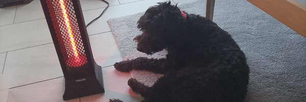 becauseimjoe77 Profile Banner
