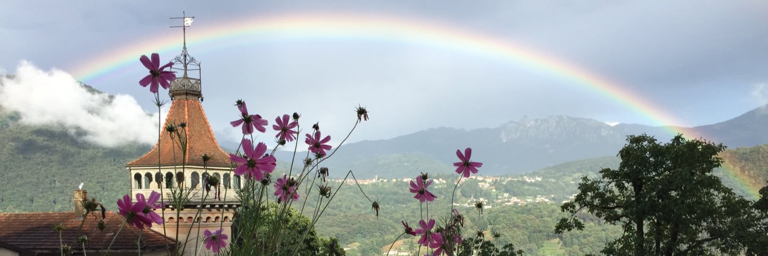 TrefogliMichele's profile banner image
