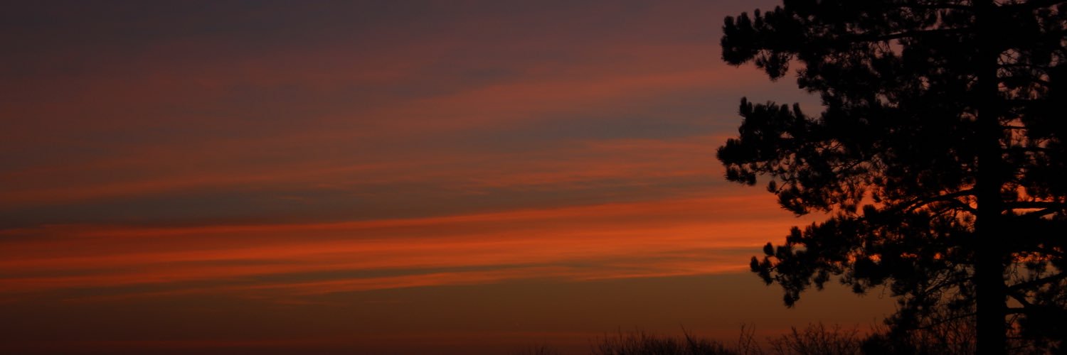 Kaffskimush's profile banner image