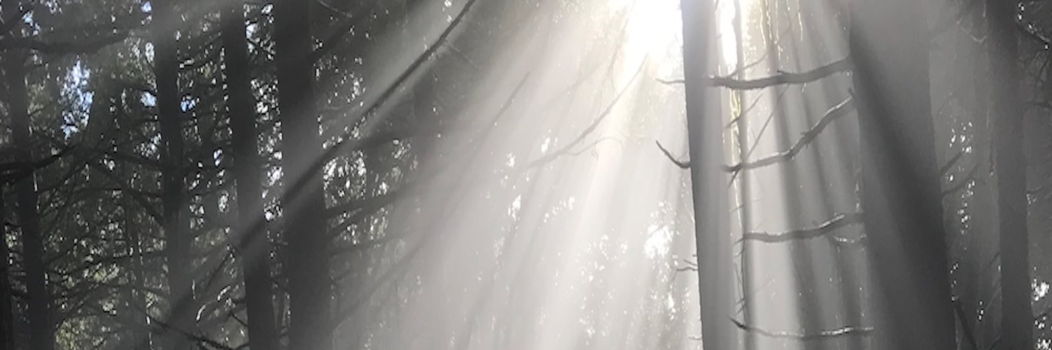 newestpath46389's profile banner image