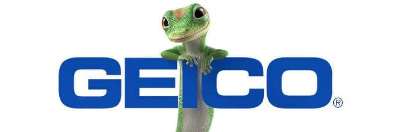Dr. Geico banner