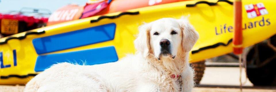 gemma_scho's profile banner image