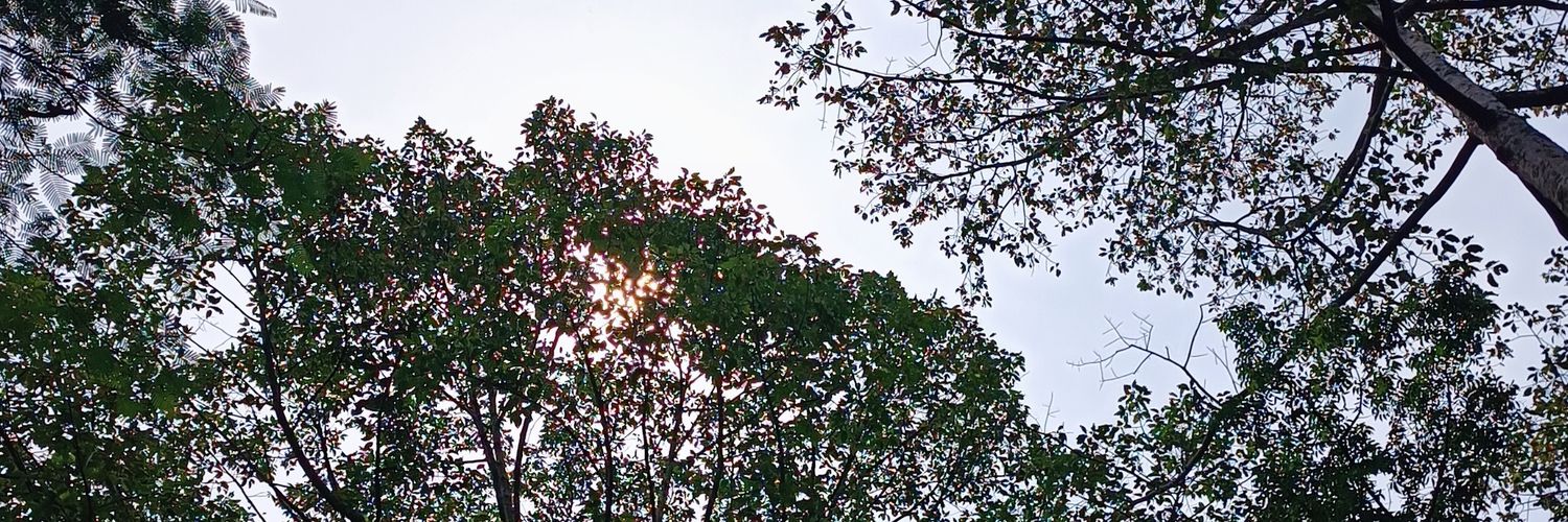 Janjie banner