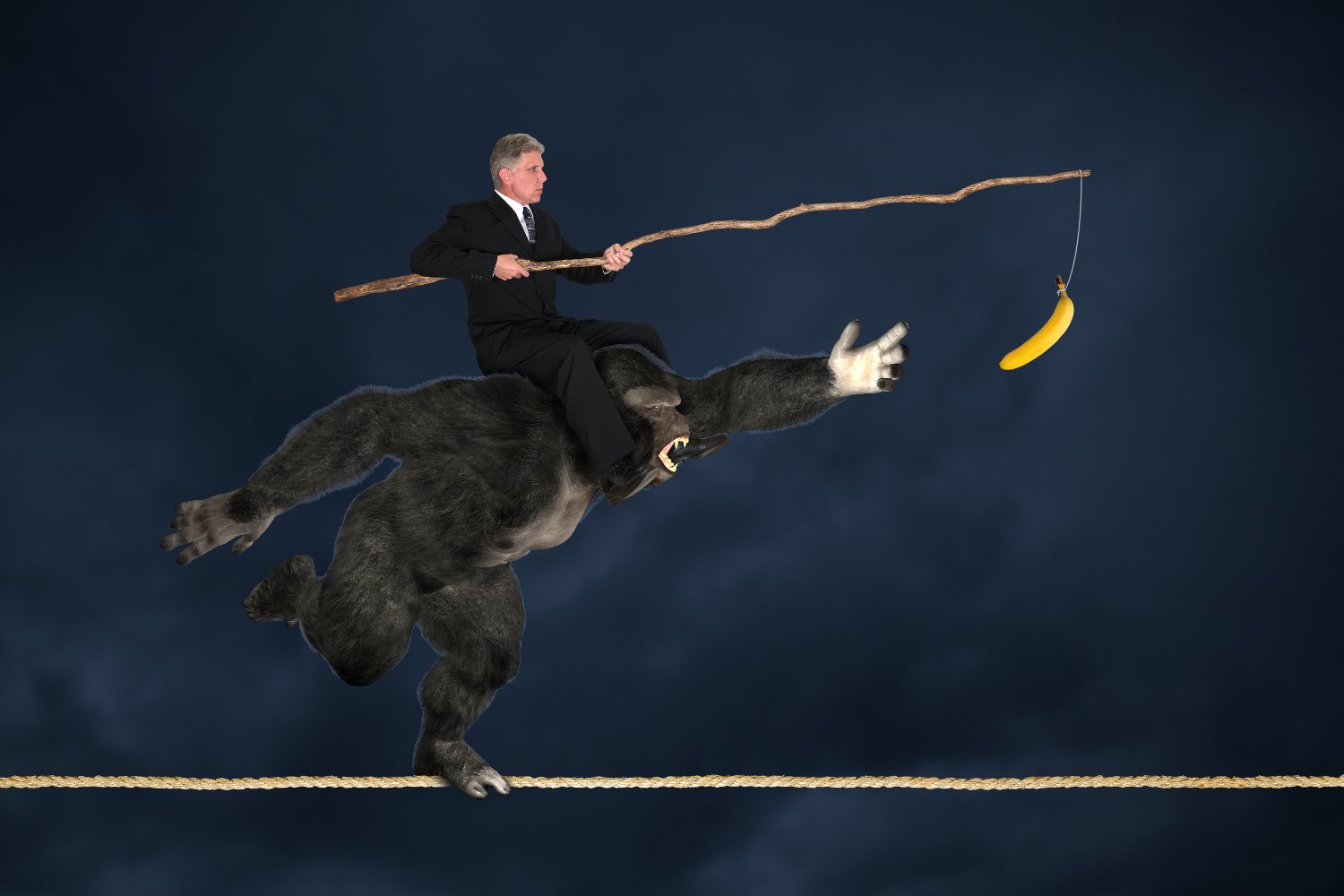 federaltrust's profile banner image