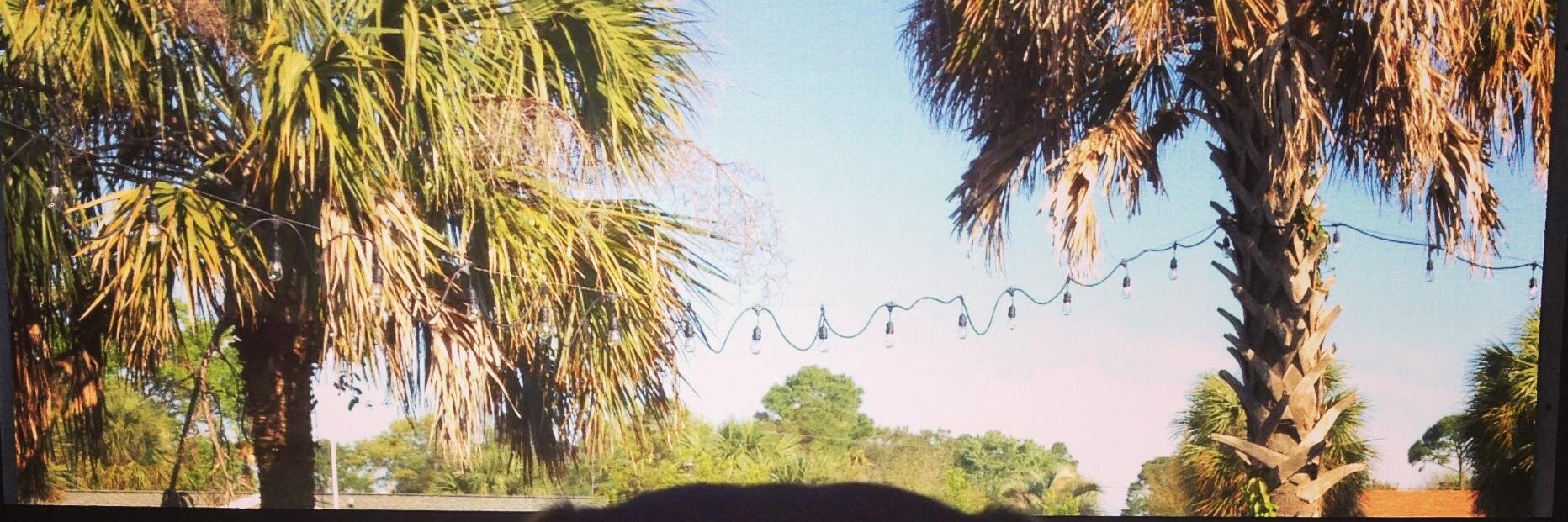 kshawbailey's profile banner image