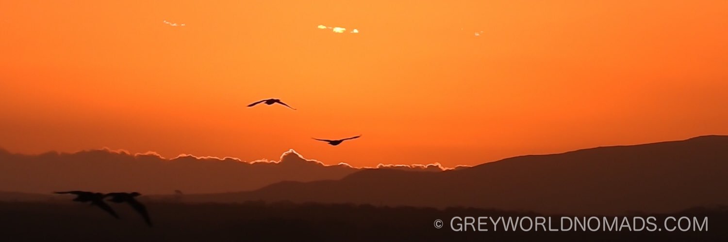 greyworldnomads's profile banner image