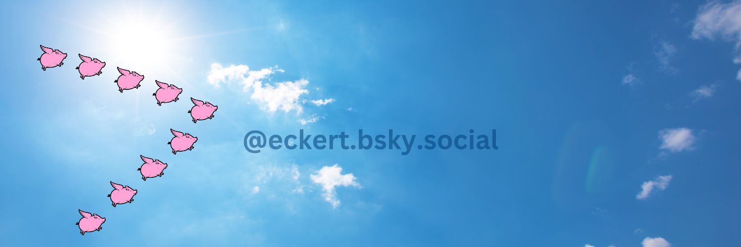 Burgundy & Blueskied banner