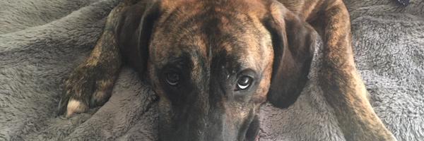 AaronSuttles Profile Banner