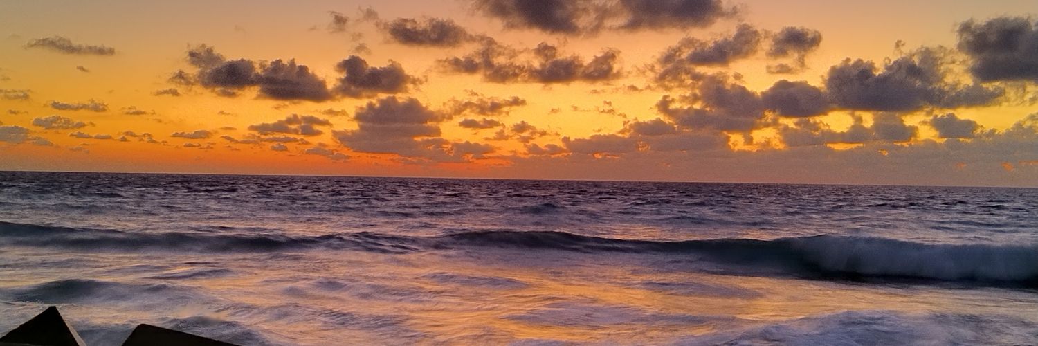 liditav's profile banner image