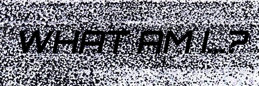 WHO AM I ... ? banner