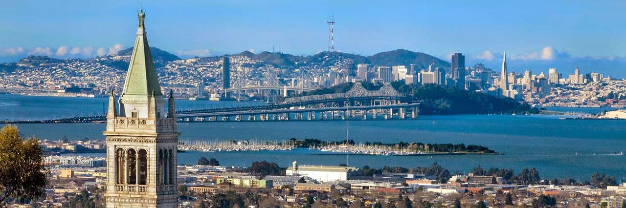 David Trilling banner