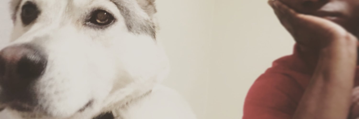 ajrwaaa's profile banner image
