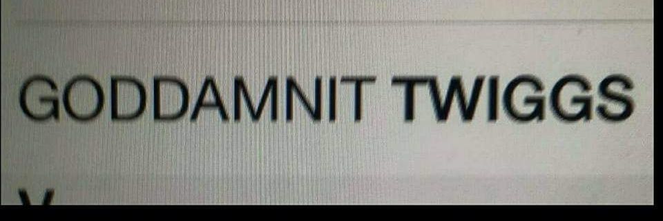 twiggs! banner