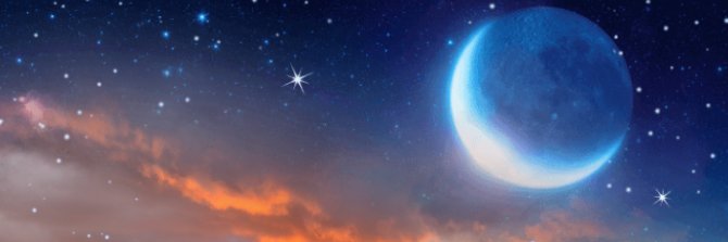 leslielello's profile banner image
