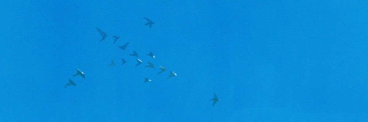 루 banner