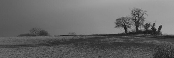 LandscapeEngine Profile Banner