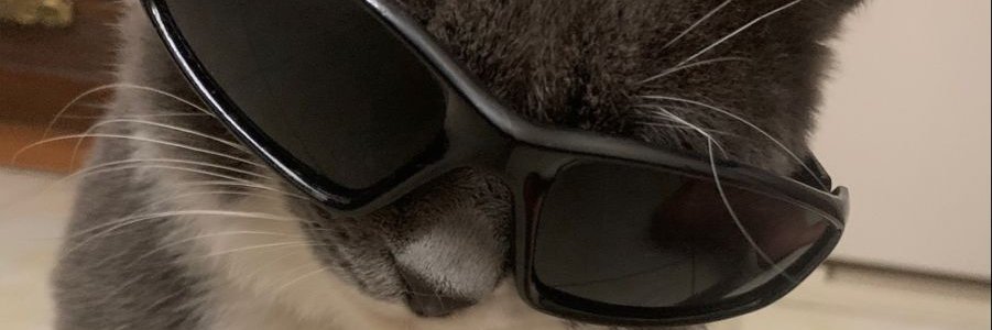 Fiz🌠 • MM service • collecting proof 😋 banner