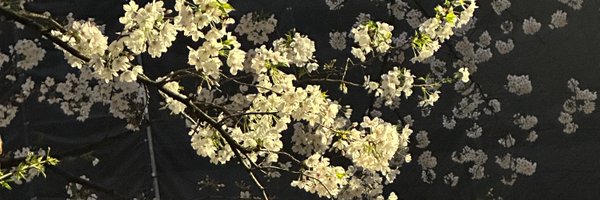 botan_blanq Profile Banner