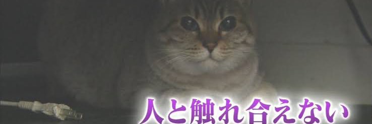 さとる（21） banner