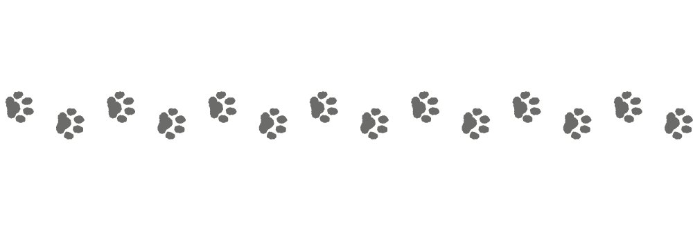 ラグドール🐾 banner