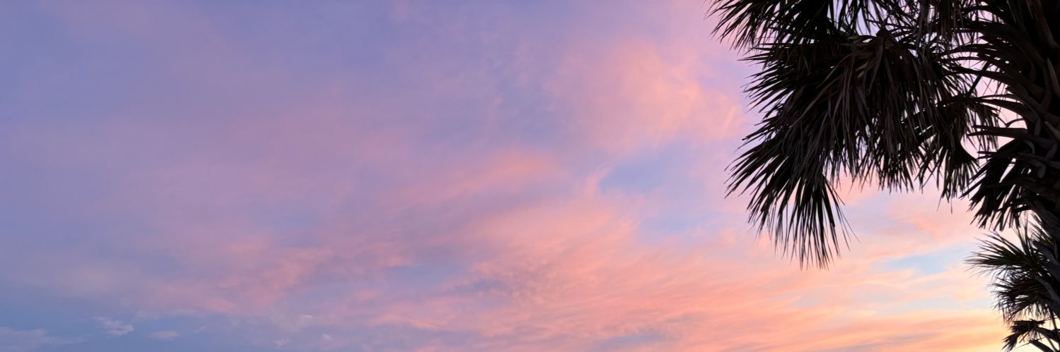 Rebexster's profile banner image