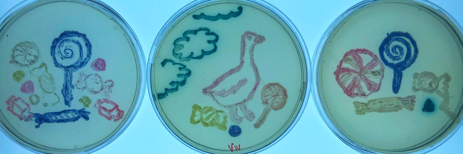 Dr Viv Goosens banner