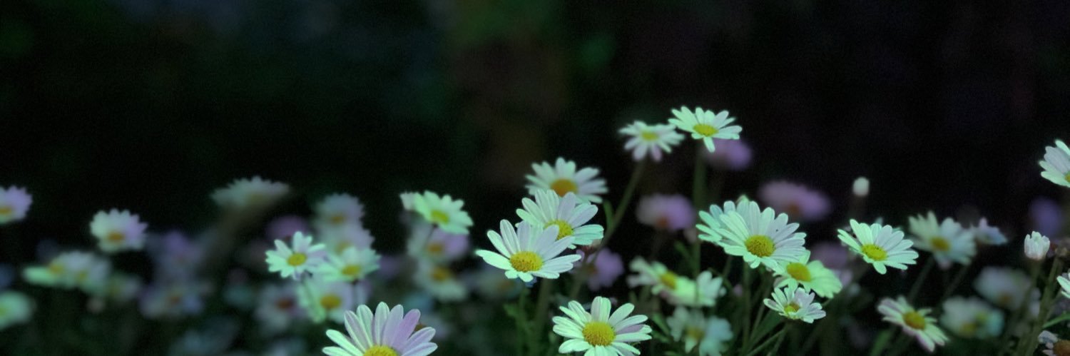 j2l2_'s profile banner image