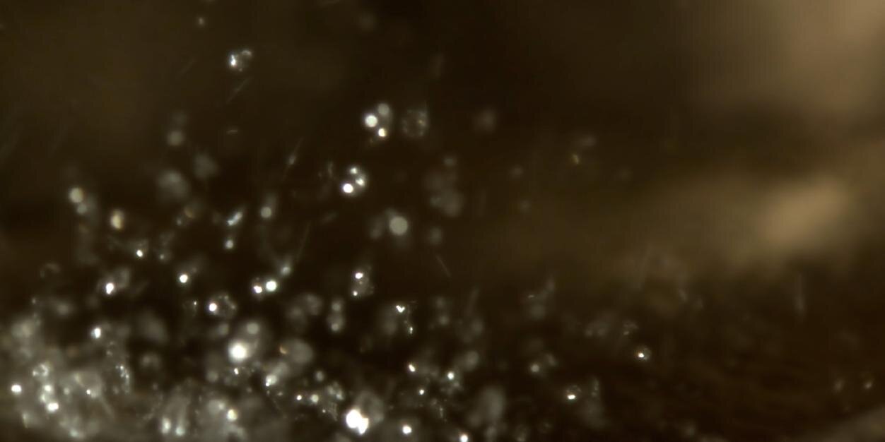 MilkwoodProds's profile banner image