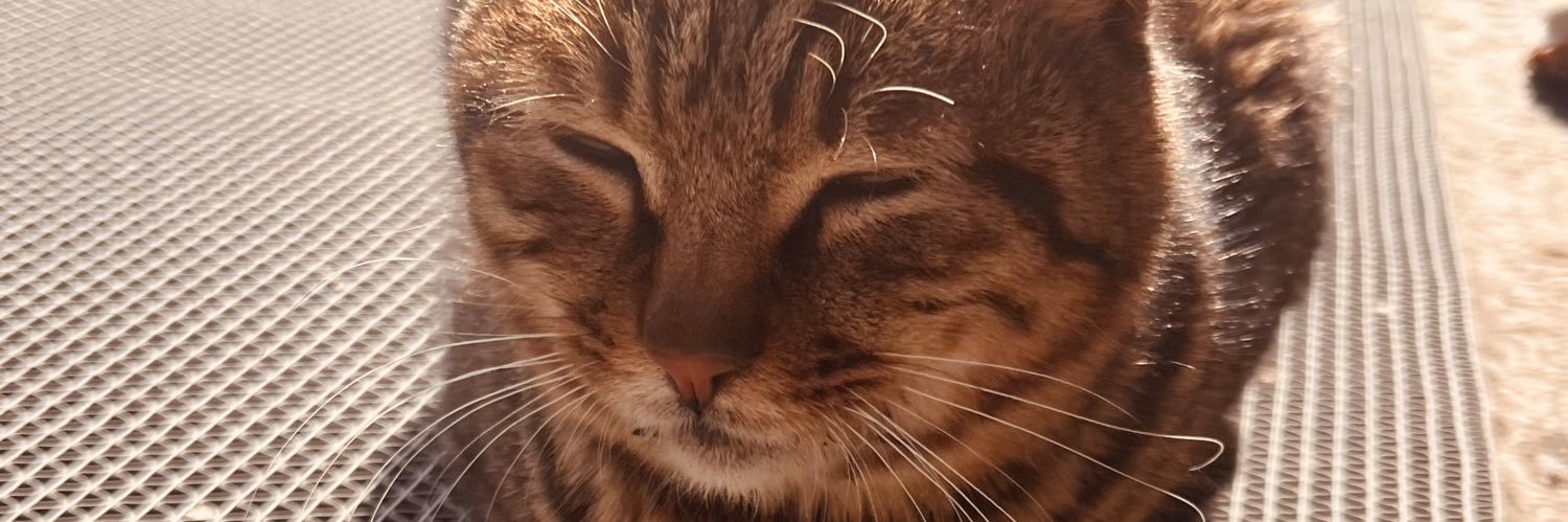 Rinvoe's profile banner image
