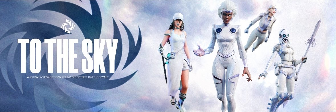 To The Sky Esports banner