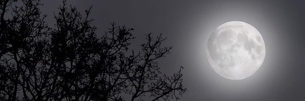 algrimmammon Profile Banner