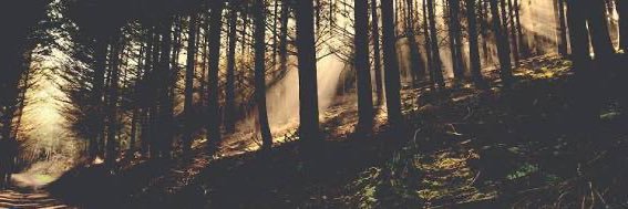 Jarrod Lowery banner