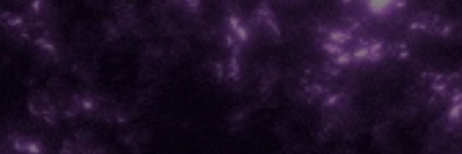 iamdoomed's profile banner image