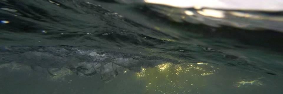 Johnny Firecloud banner