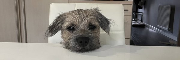 LicklePuma Profile Banner