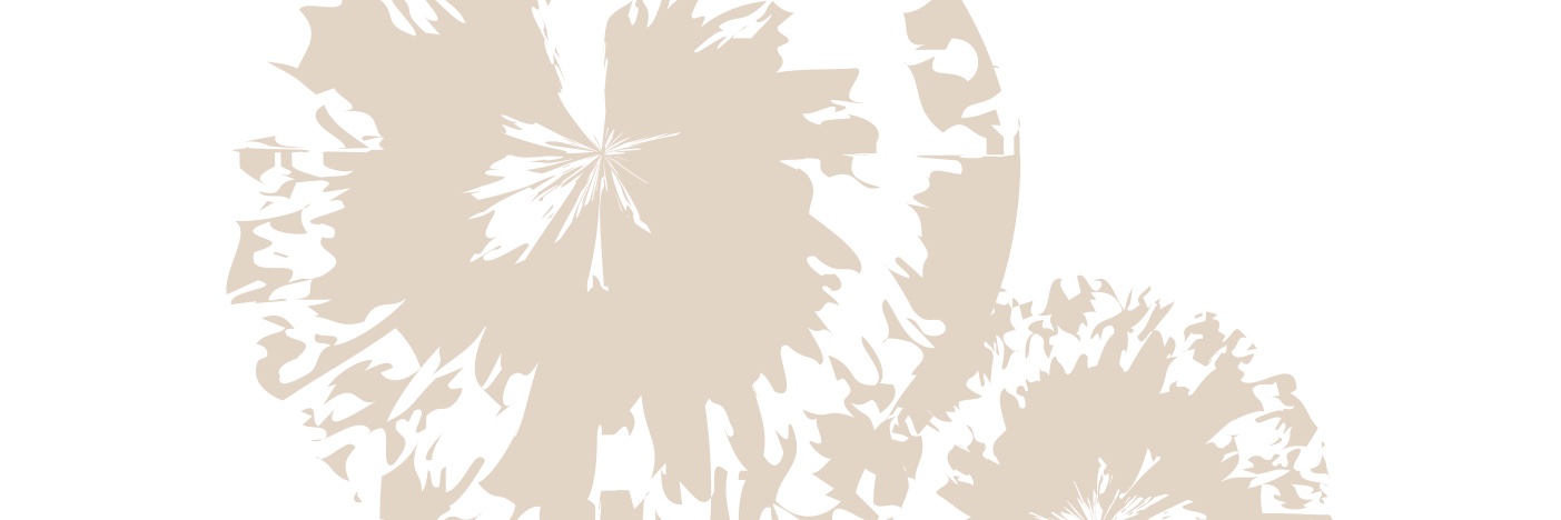 Adrien Aszerman banner