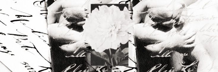 𝒘𝒊𝒍𝒍𝒊𝒂𝒎. banner