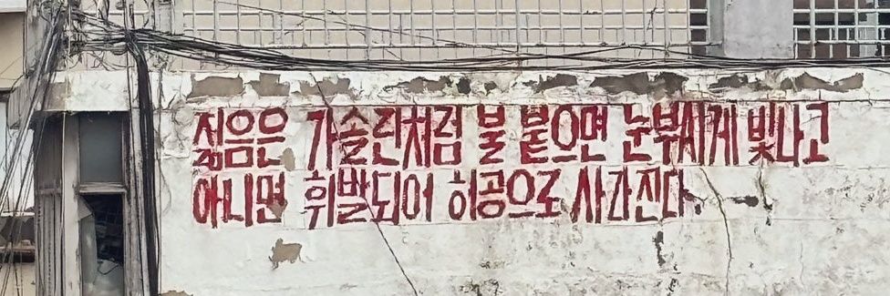 채칼's banner