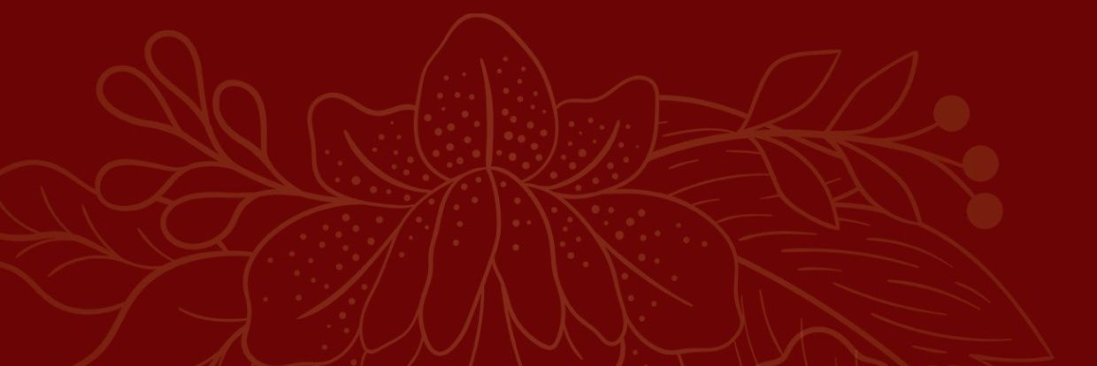 autora_ayla's profile banner image