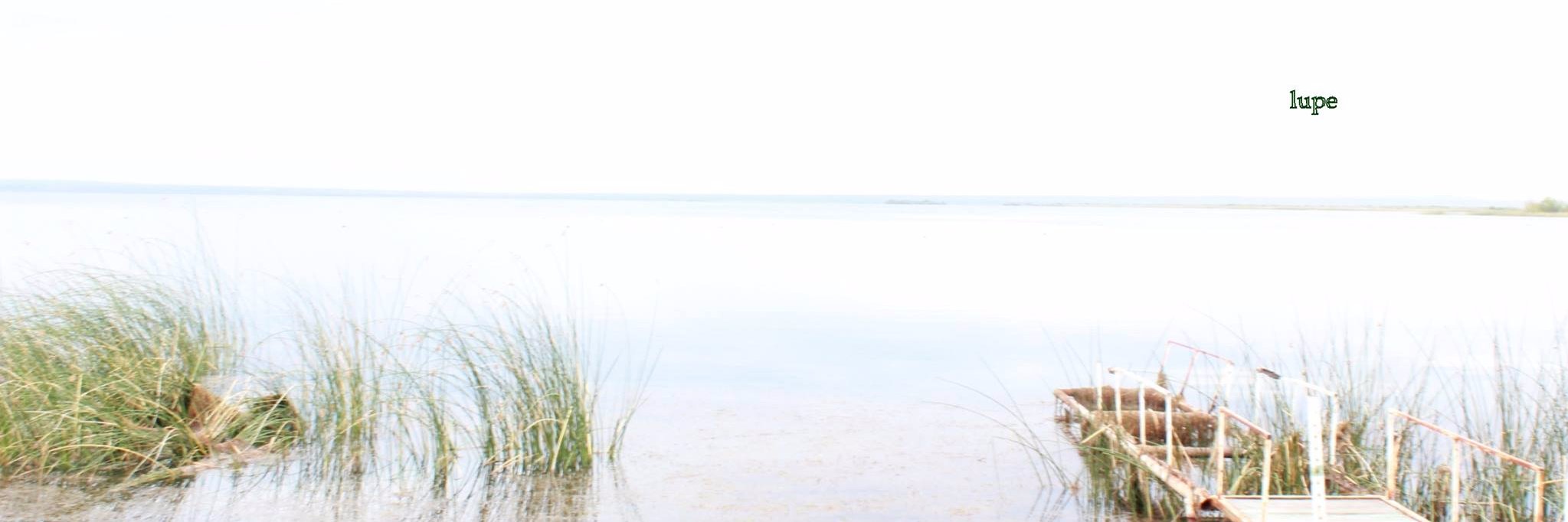 LupeSanchezR's profile banner image