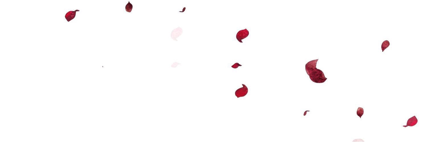 Pi_PKP's profile banner image