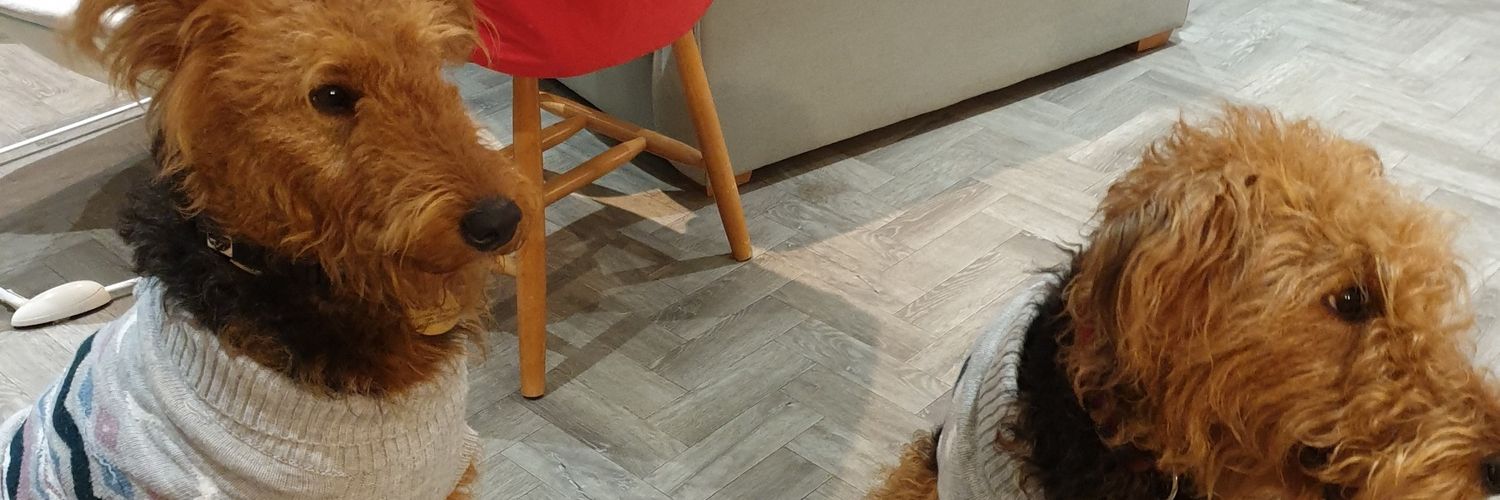 blondecoluk's profile banner image