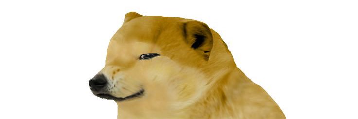 bonktard's profile banner image