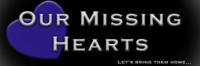 Our Missing Hearts banner
