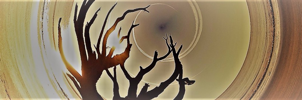 larrystultz's profile banner image