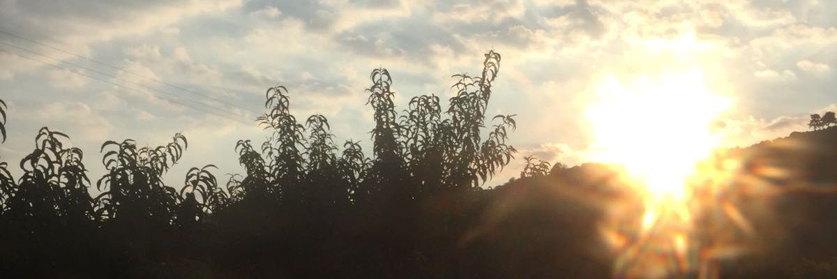 samet_soydas07's profile banner image